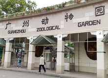 Зоопарк Гуанчжоу (Guangzhou Zoo)