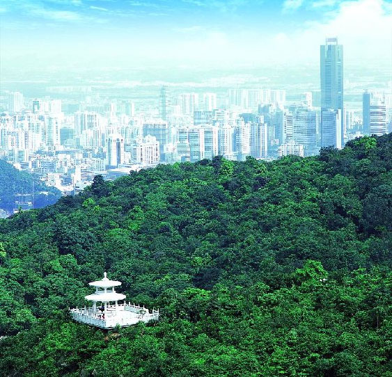 Вид с горы Байюнь в Гуанчжоу