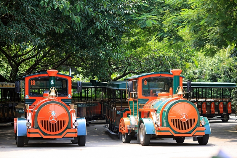 Транспорт в Сафари парке  Chimelong