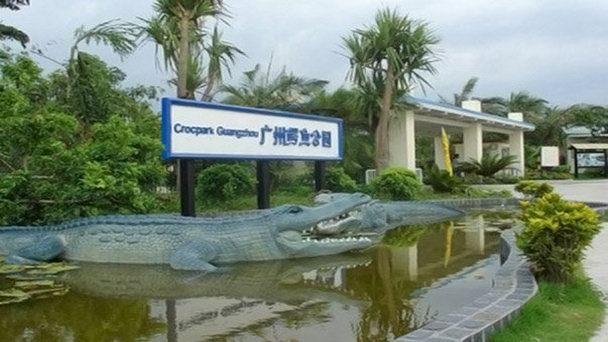 Вход а Крокодиловую ферму - Chimelong -Гуанчжоу